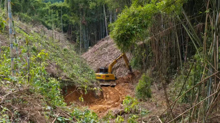 林間“藏龍”，竹?！芭P虎”——徐工林業(yè)挖機廣西俠客行